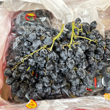 Nho Đen Chile Autumn Royal Size 2JNho Đen Chile Autumn Royal Size 2J