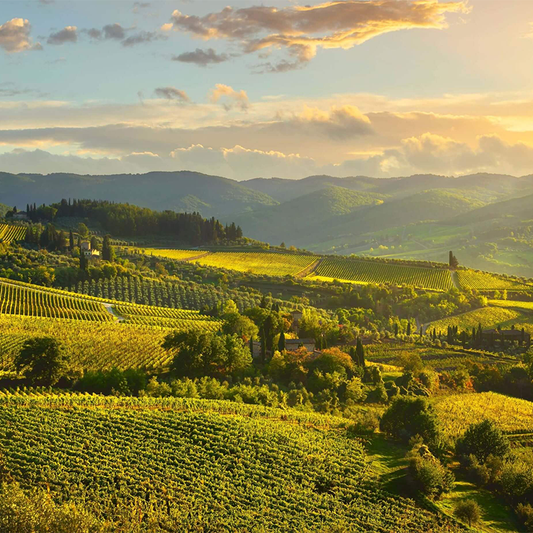 Chianti – Niềm Kiêu Hãnh Của Vùng Tuscany Nước Ý