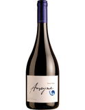 Rượu Vang Đỏ Vina Garces Silva Amayna Pinot Noir