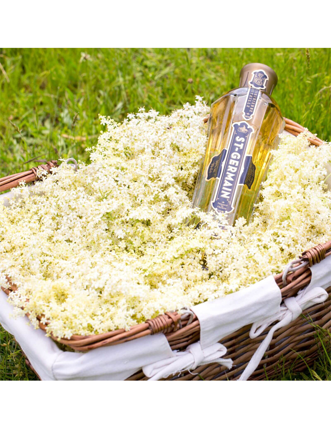 St-Germain Elderflower – Rượu Mùi Hoa Cơm Cháy Pháp